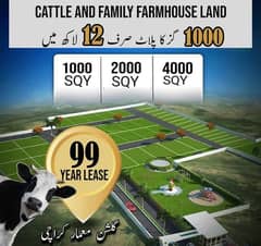 CATTLE FARM LAND