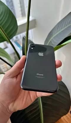 iPhone xr non pta jv waterpack