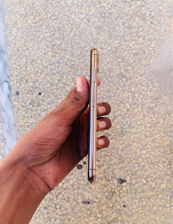 xs Factory 256gb Gold colur 1