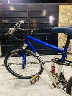 Giant MTB Japinese Bike