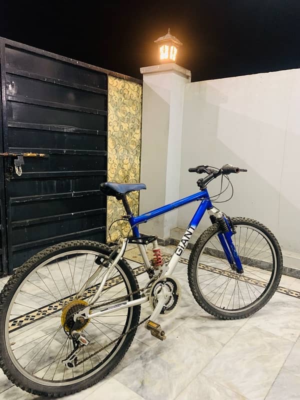 Giant MTB Japinese Bike 1