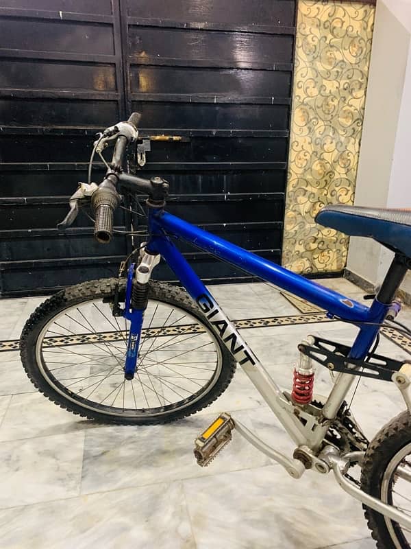 Giant MTB Japinese Bike 2