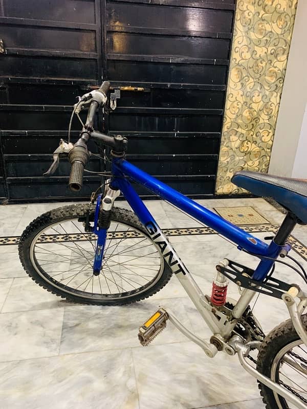 Giant MTB Japinese Bike 6