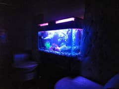 NEW 3D AQUARIUM FULL SETUP FOR SALE.