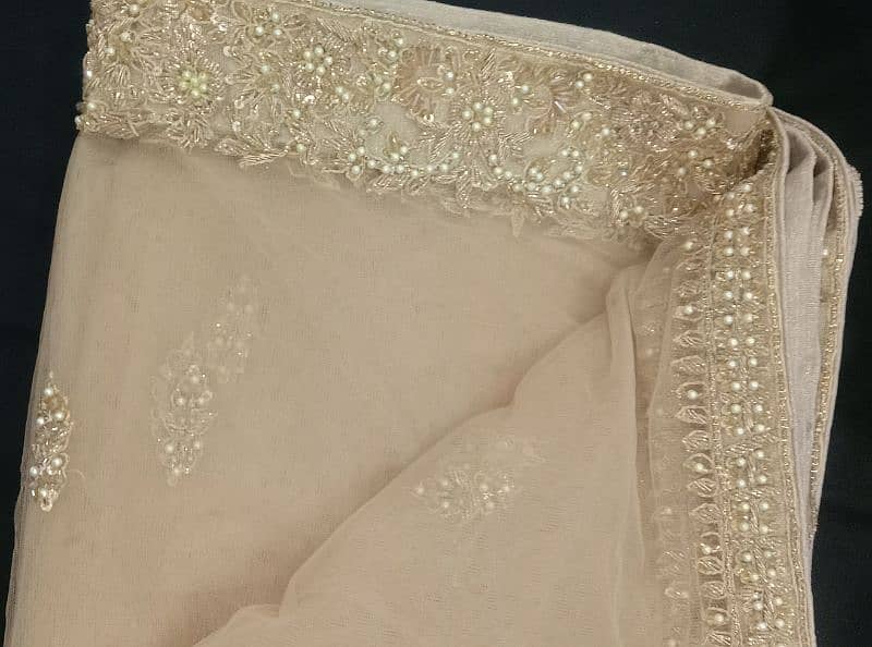 Walima Dress 5