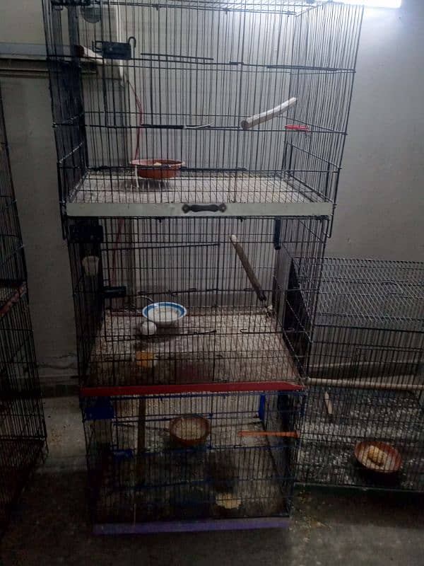 birds cage 4