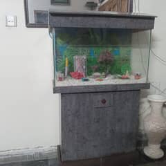 Aquarium