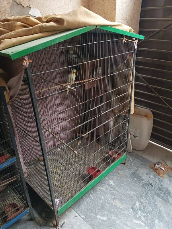 cocktail with cage (RS- 15000 ) 0