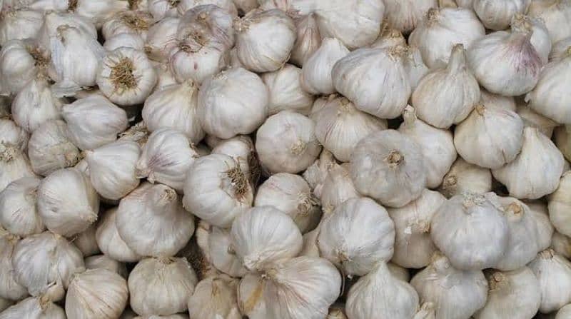 G1 Garlic 100% pure quality 1