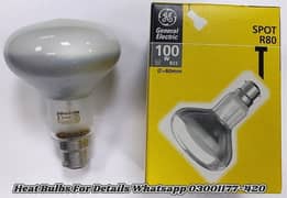 Heating Bulbs for Birds Brooder