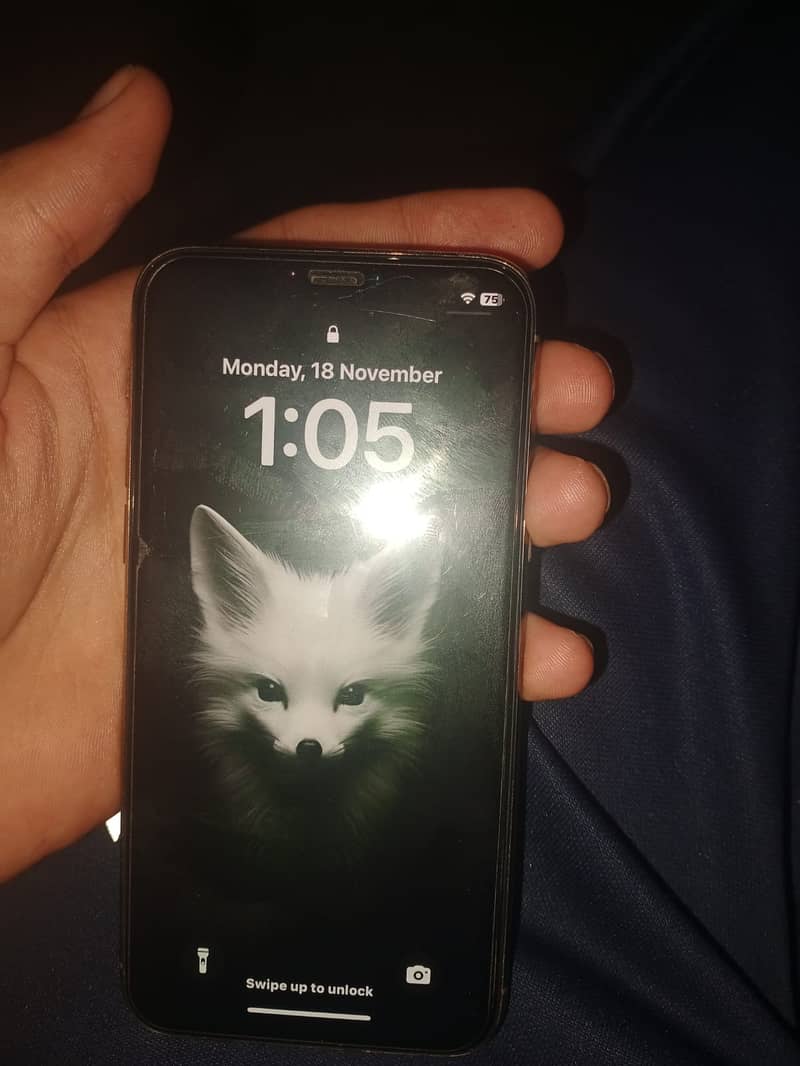 Apple iPhone 11 Pro 1