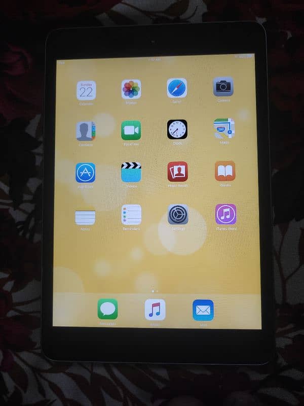 iPad mini 2 4