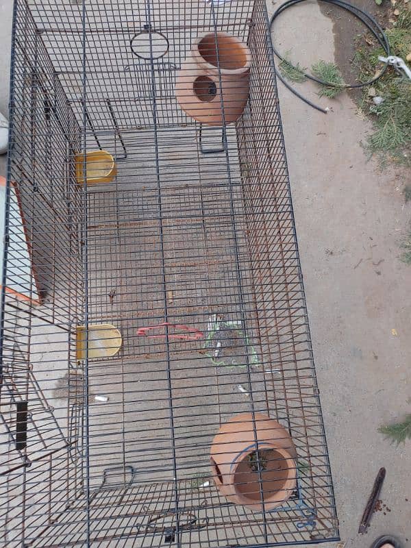 Cage for Birds  Cage for Parrots 3