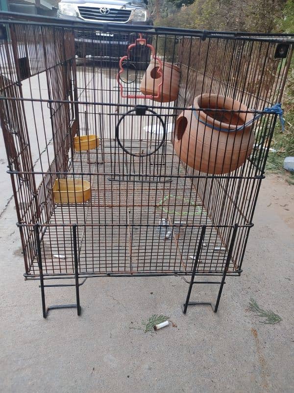 Cage for Birds  Cage for Parrots 4