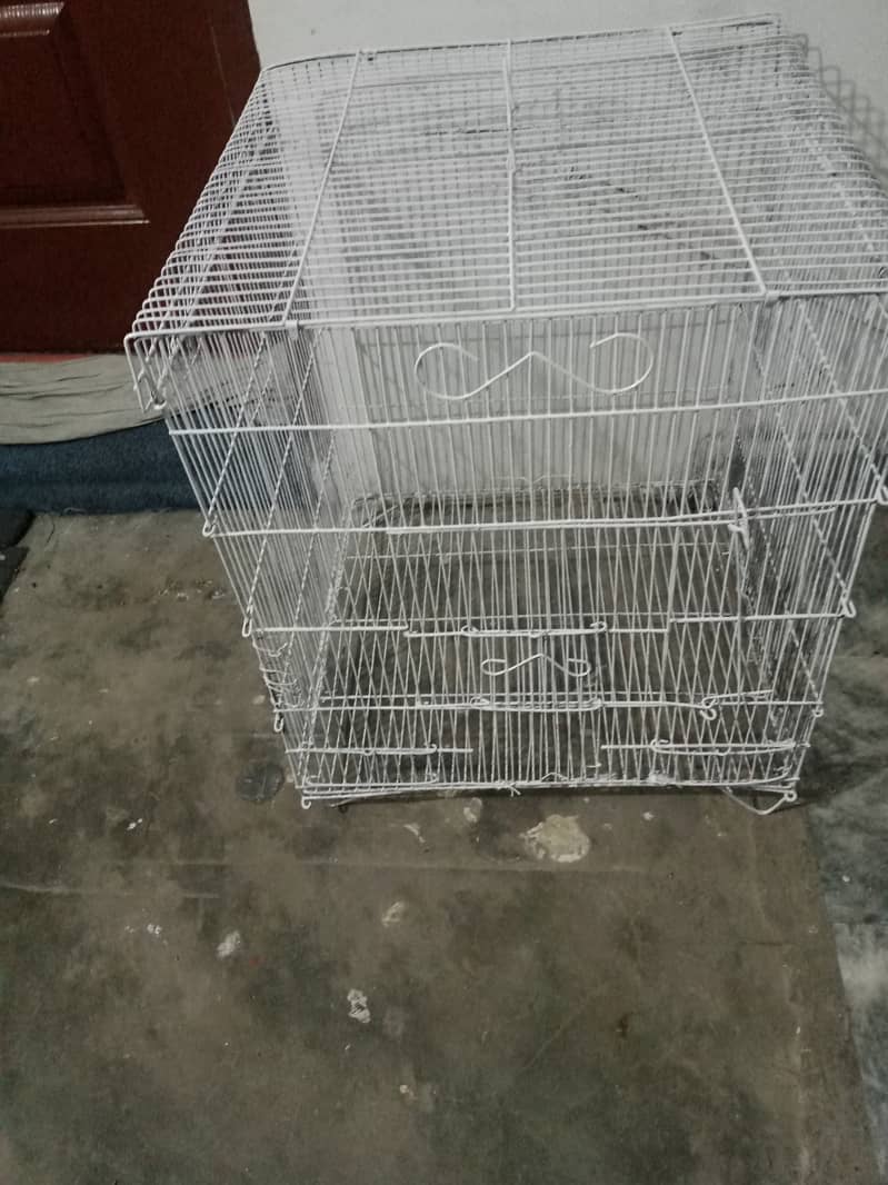 Birds cage bhot acha or mazbot 0