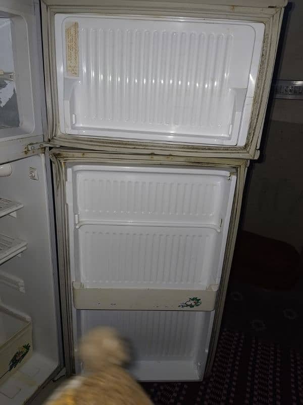 Refrigerator (fridge )for sale in good condition 4