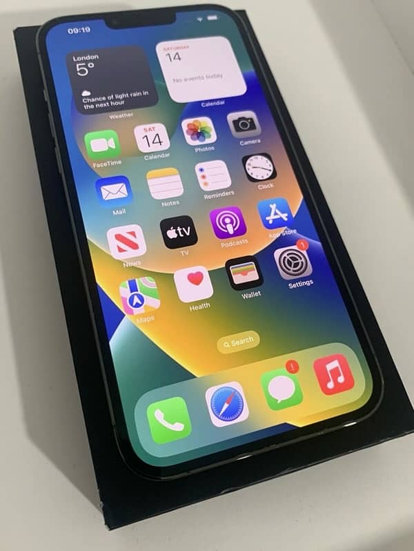 iPhone 13 Pro Non Pta 1