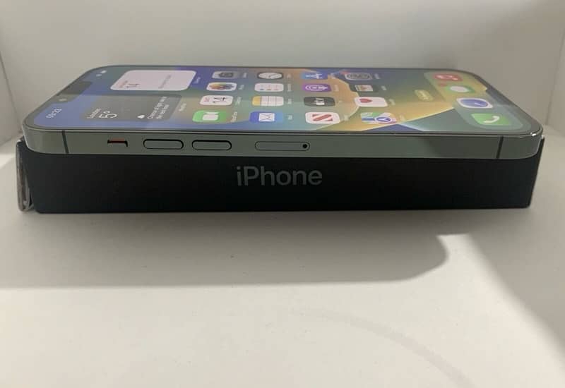 iPhone 13 Pro Non Pta 3