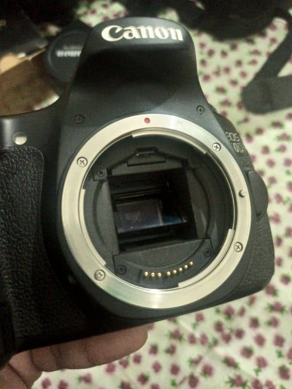 Canon 60D with kit and 50mm lens 1