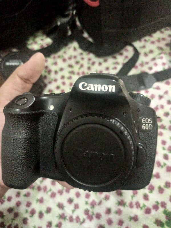 Canon 60D with kit and 50mm lens 2