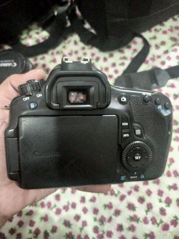 Canon 60D with kit and 50mm lens 3