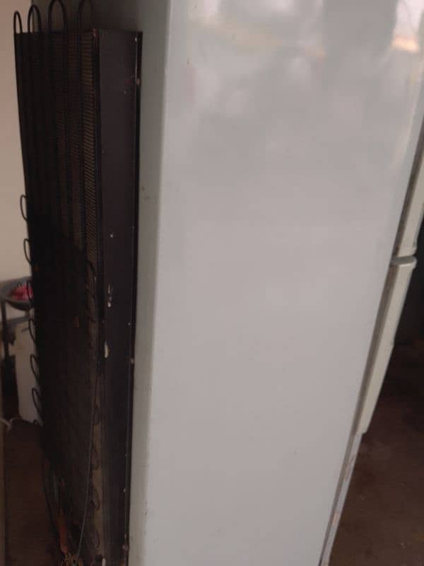 fridge for urgent sale. 2