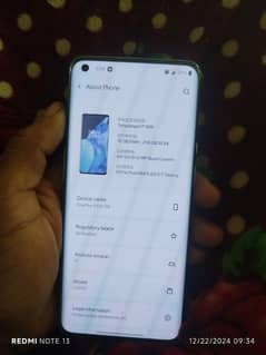 one plus 9pro  12 256