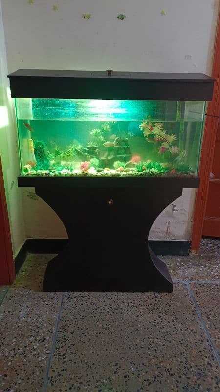 Aquarium with fish & wooden stand for sale 0