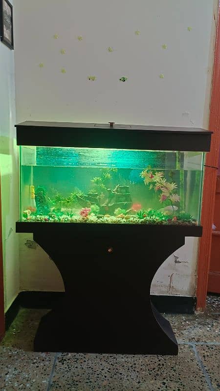 Aquarium with fish & wooden stand for sale 1