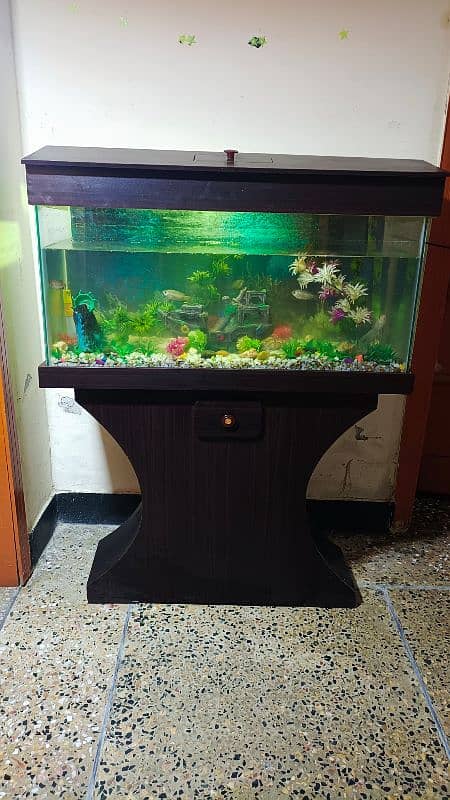 Aquarium with fish & wooden stand for sale 2