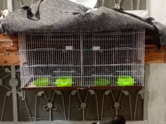 2 Portion Cage with 2 pairs of love birds with eggs & boxes