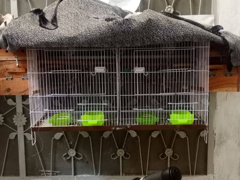 2 Portion Cage with 2 pairs of love birds with eggs & boxes 0