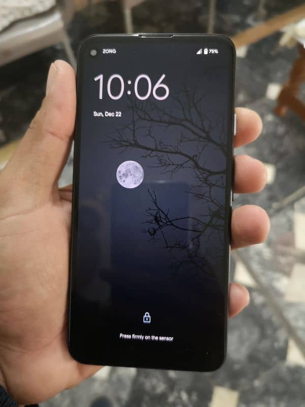 Google Pixel 4a(5g) 2