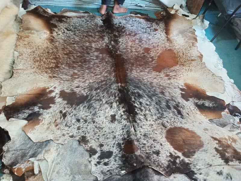 Cow hide rugs 4