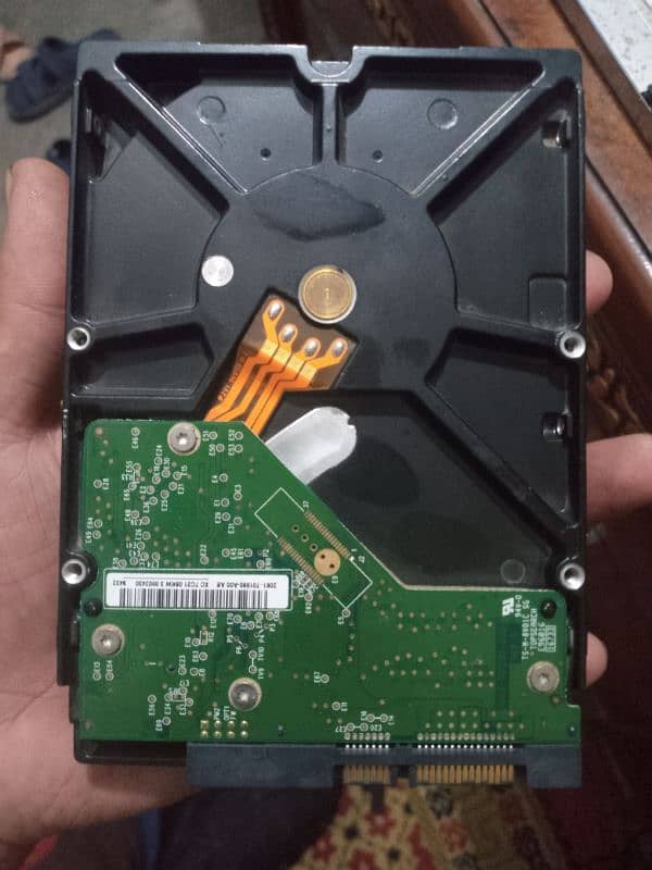 1TB WD Hard drive 1