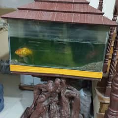 Big size Aquarium for sell