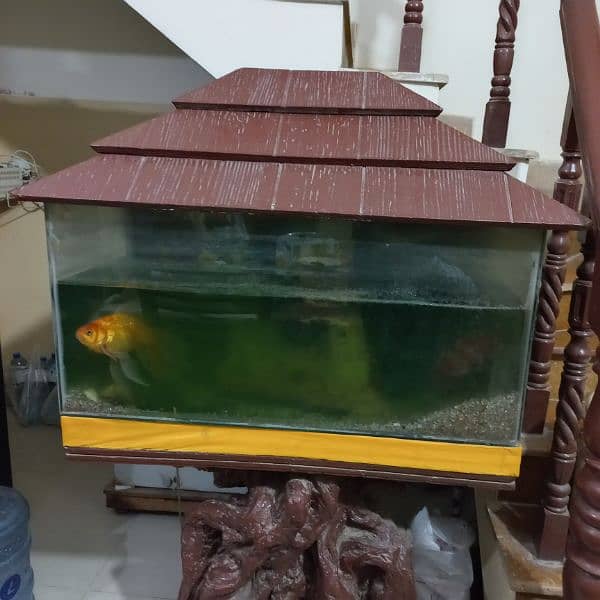 Big size Aquarium for sell 1