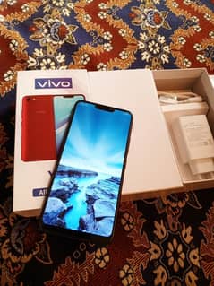 vivo