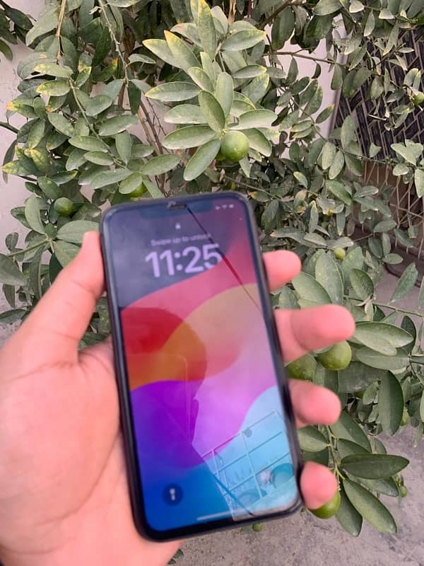 iPhone 11 - 64GB (Black) in 10/10 Condition 0