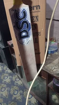 DSC Bat English willow bat Very good punch