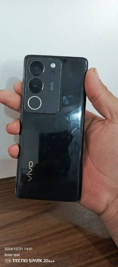 vivov29 12/256