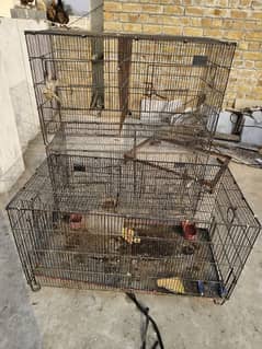 cage 4 sale