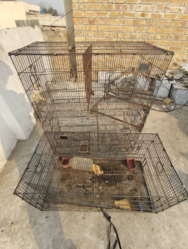 cage 4 sale 1