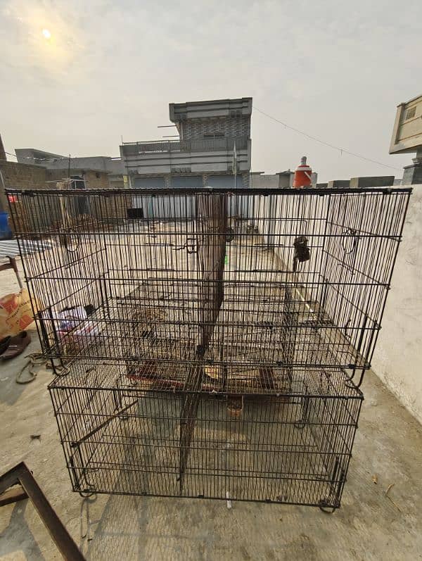 cage 4 sale 2