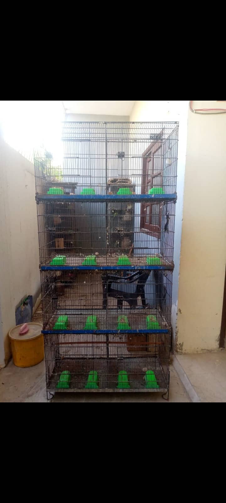 8 Portion Cages 0