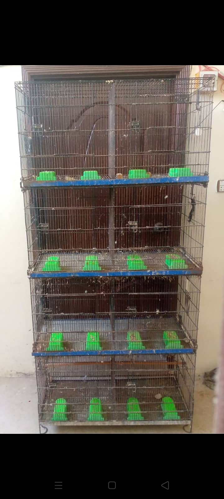 8 Portion Cages 1