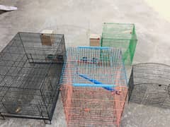 4 Cages and 1 big size Doli for Sale