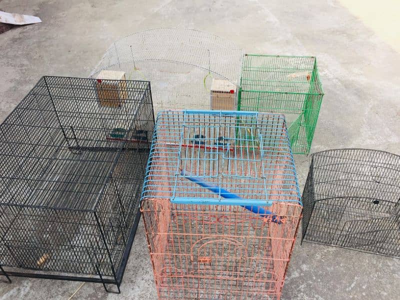 4 Cages and 1 big size Doli for Sale 0