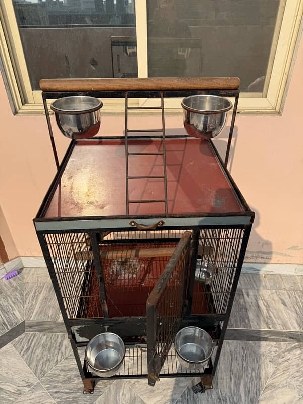 Gray parrot & Raw parrot cage for sale 0