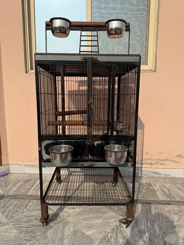 Gray parrot & Raw parrot cage for sale 2